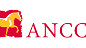 ancce logo ancce logo