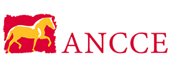 ancce logo